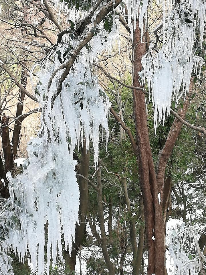 snowfall at bhawan